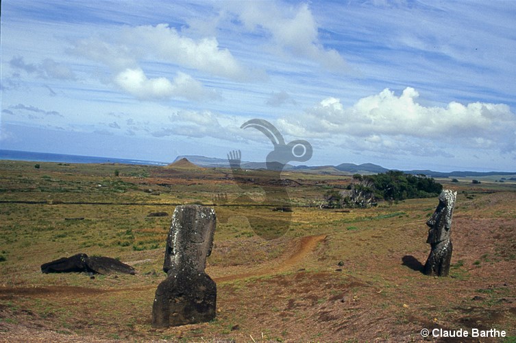 image100