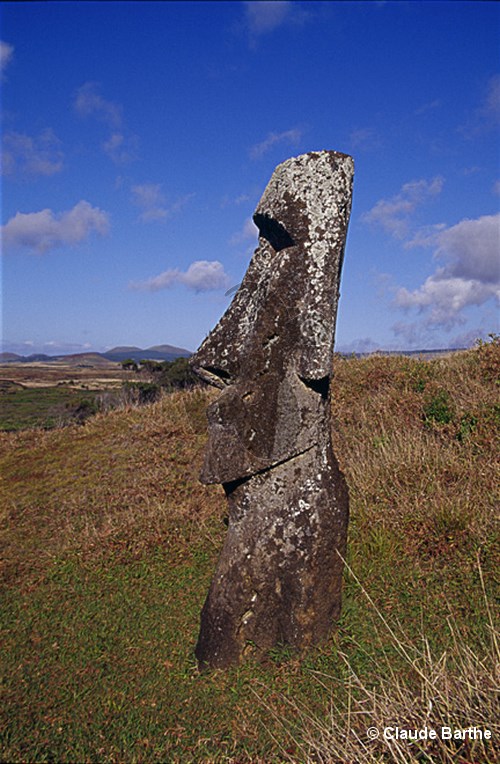 image104