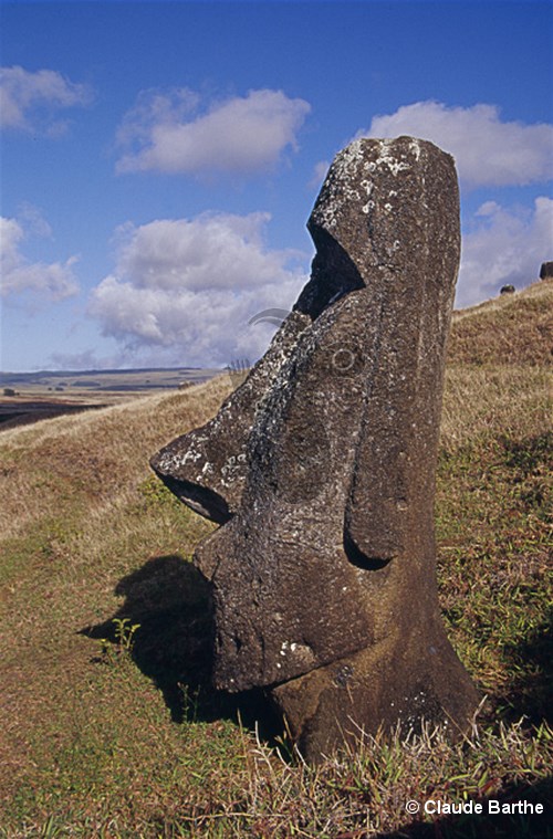 image96
