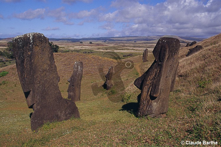 image115