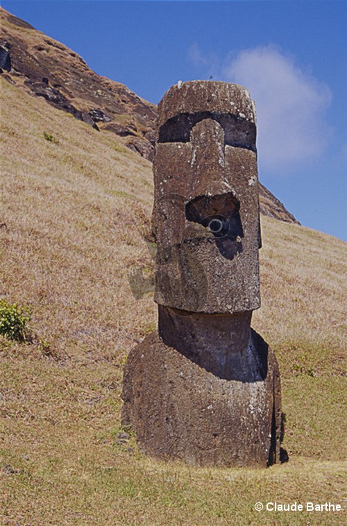 image136