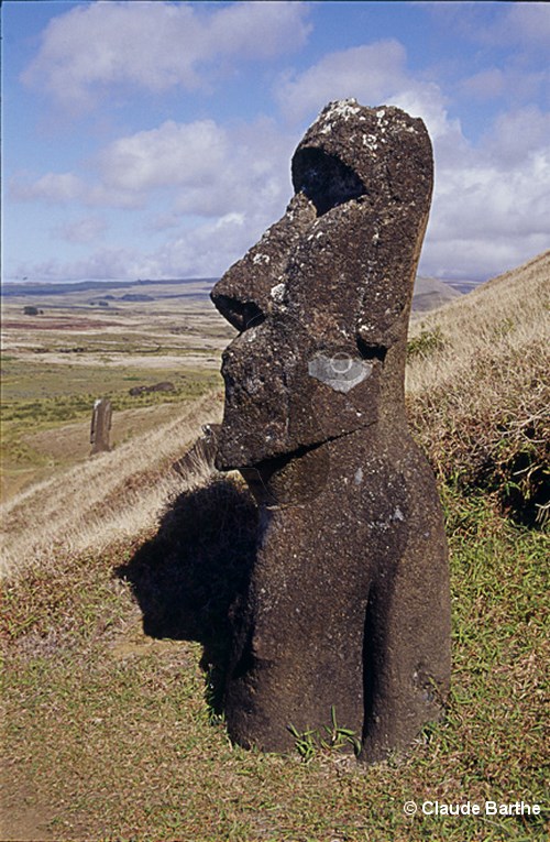 image137