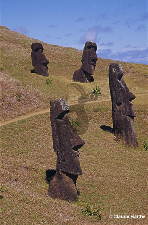 image113