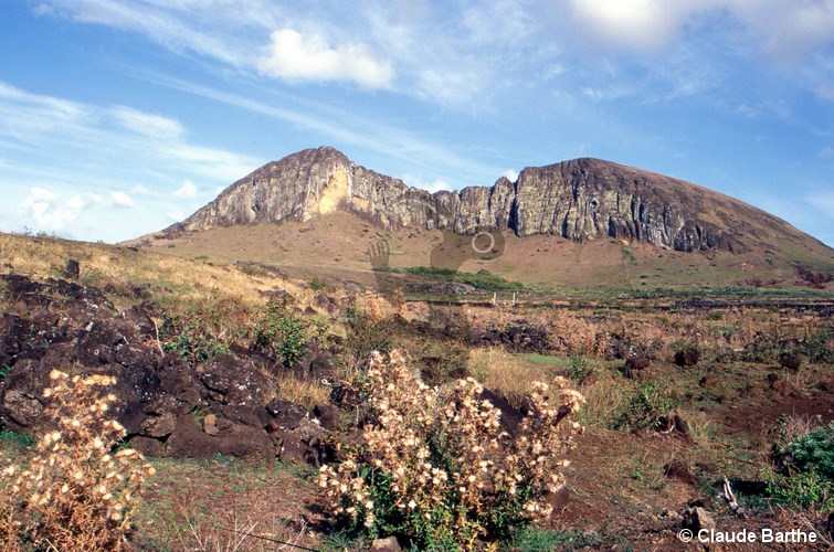 image19