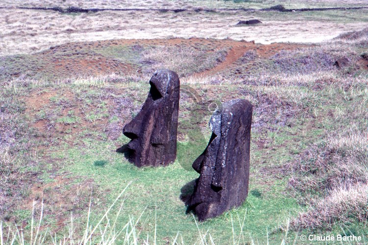 image56