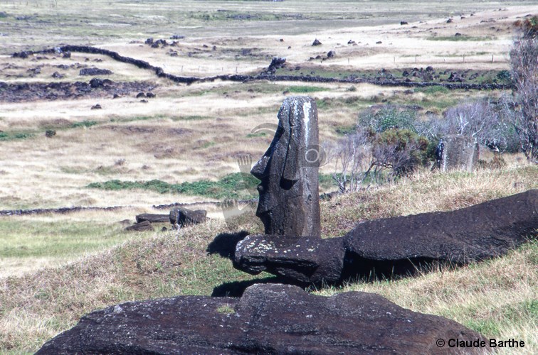 image82