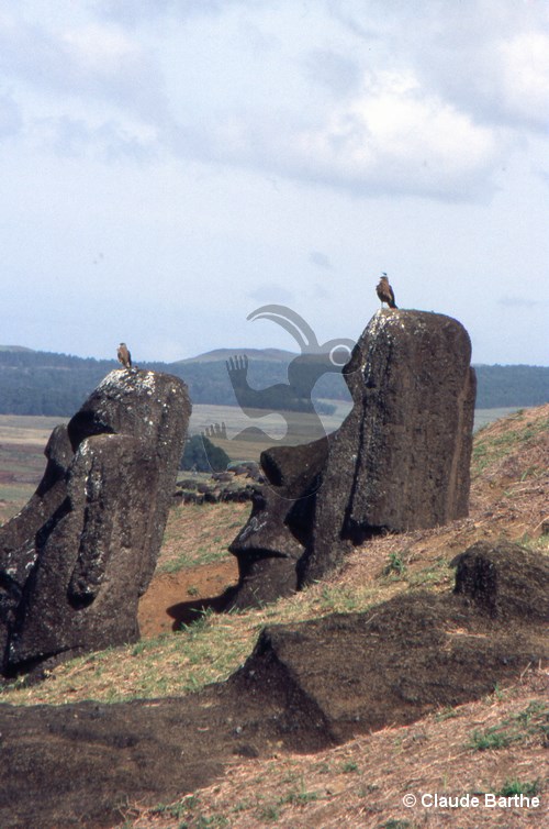 image61