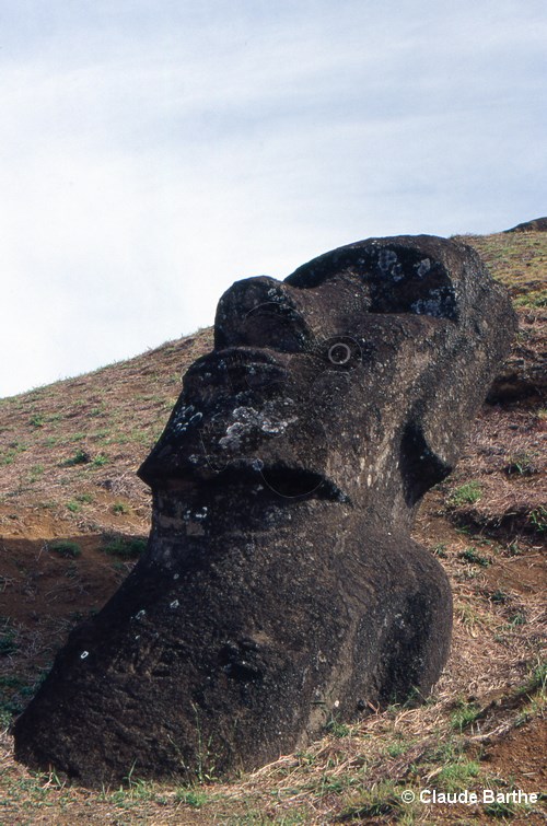 image74