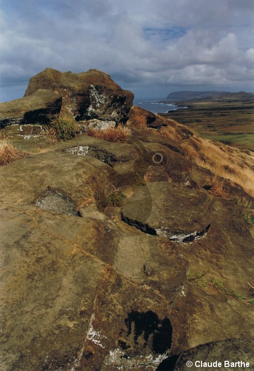 image12