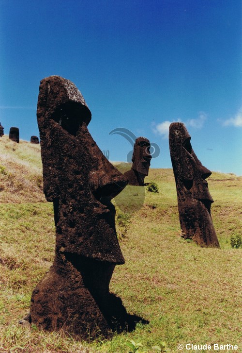 image114