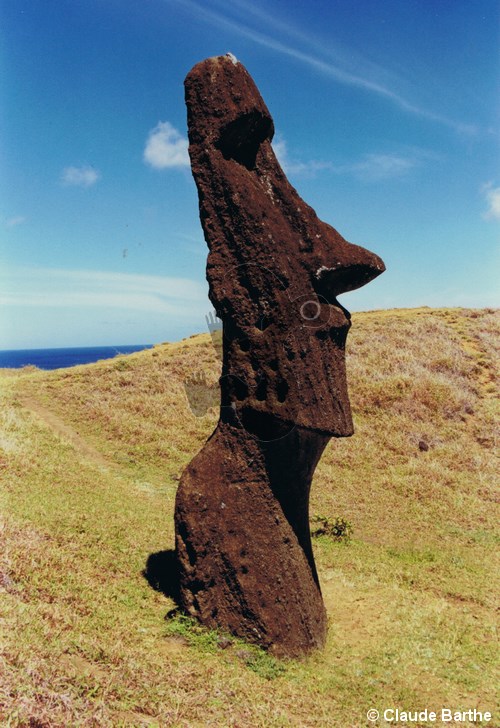 image135