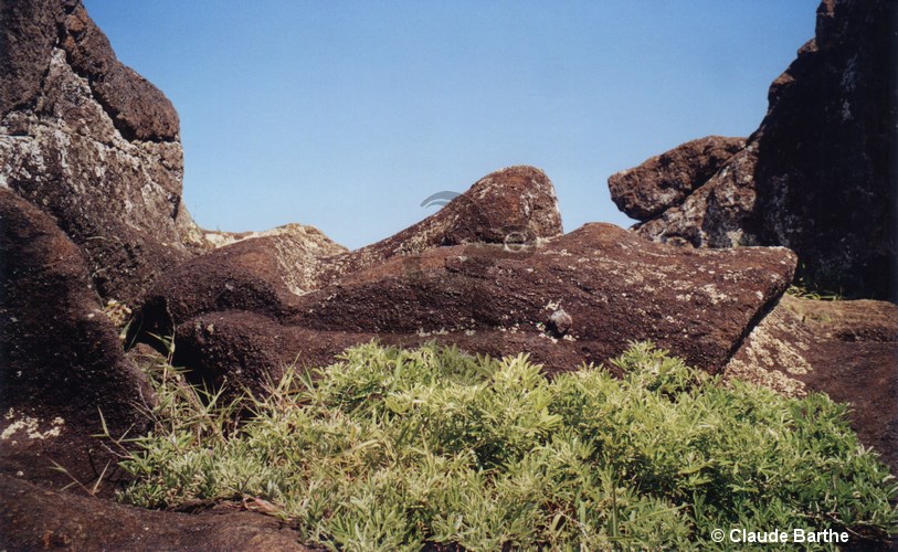 image18