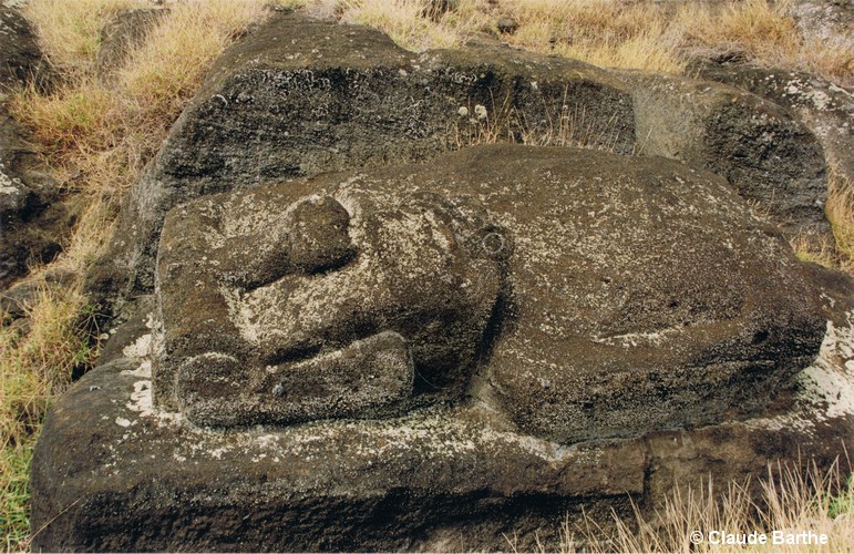 image24