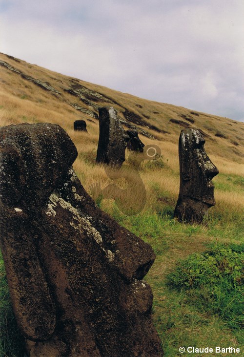 image46