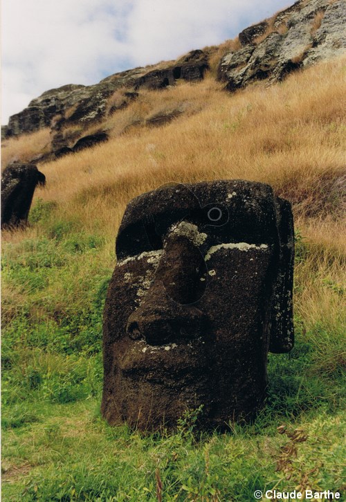 image50