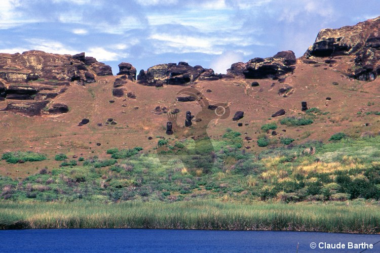 image10