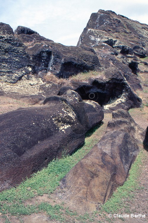image19