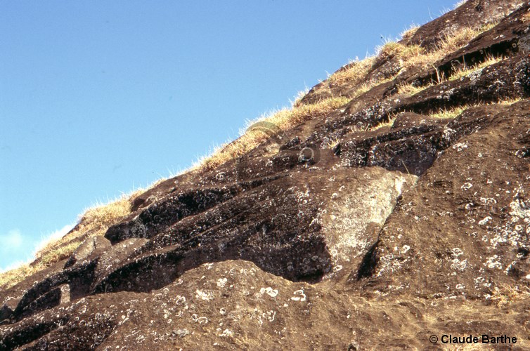 image25