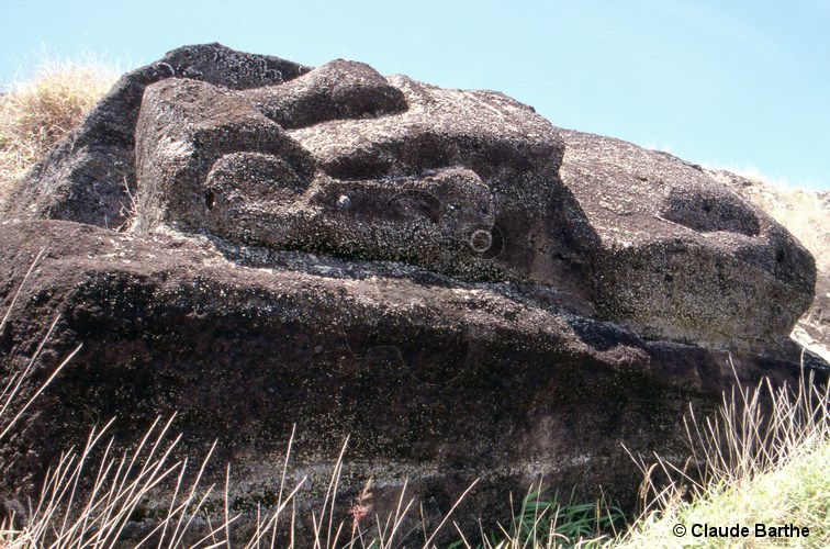 image22