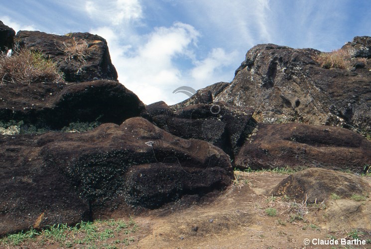 image17