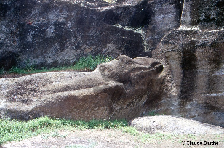 image26