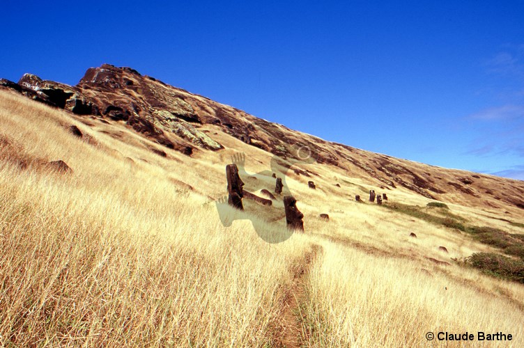image31