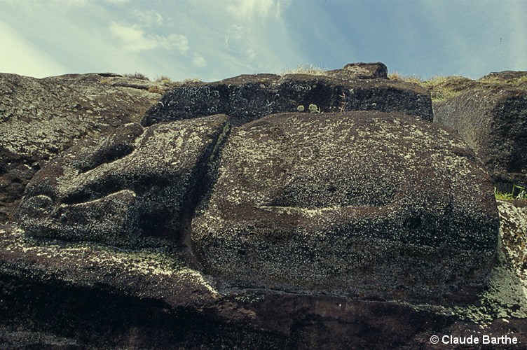 image23