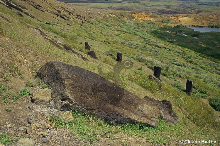 image51