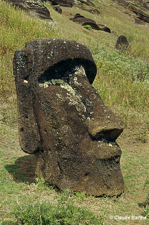 image48