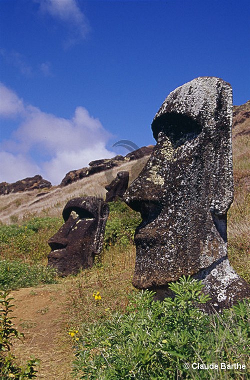 image55