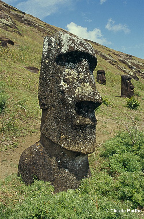 image53
