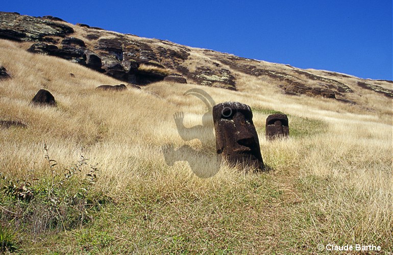 image66