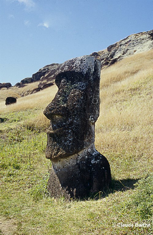 image54