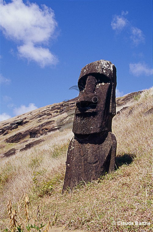 image34