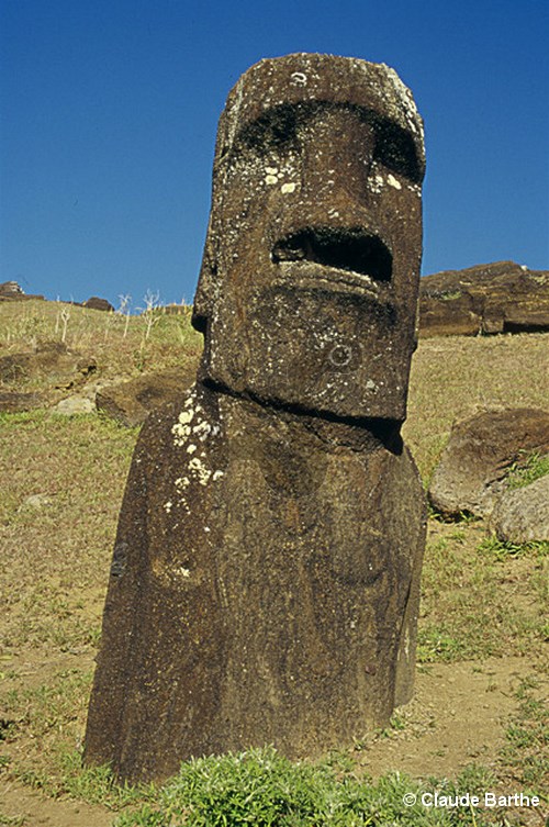 image35