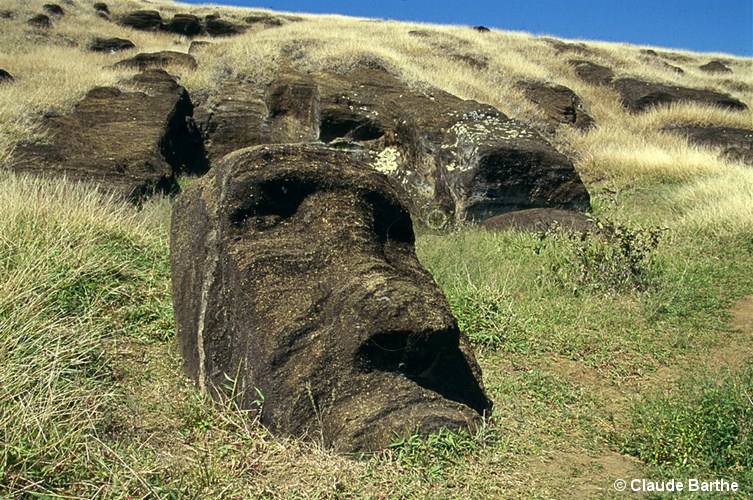 image80
