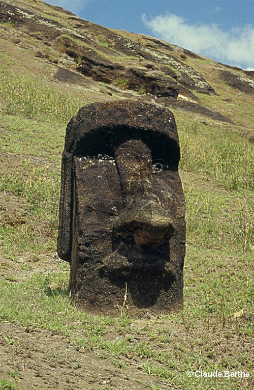 image71
