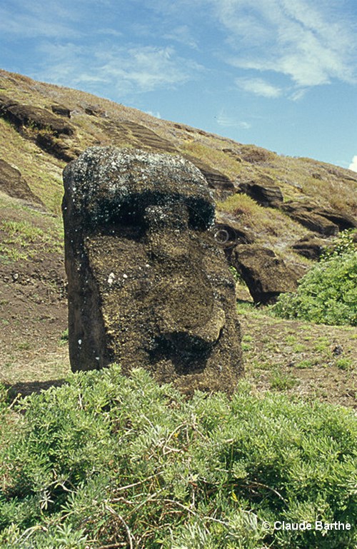 image82