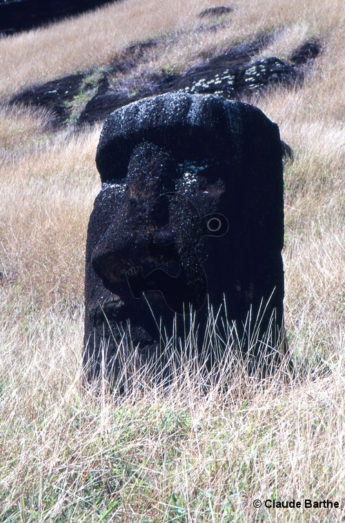 image70