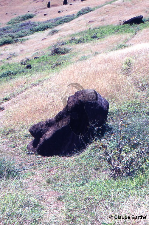 image79