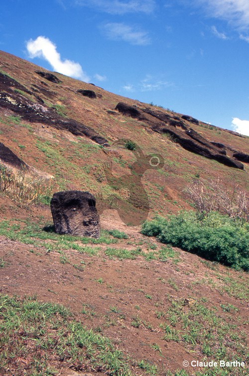 image73