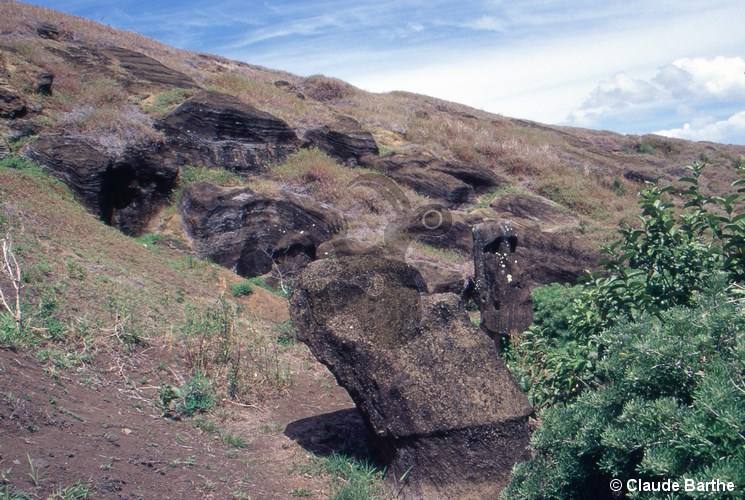 image84