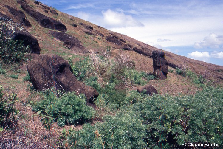 image78