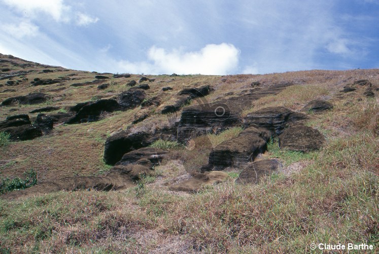 image88