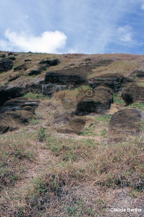image89