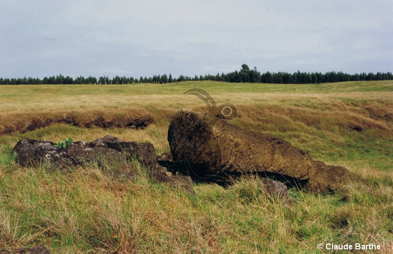 image01