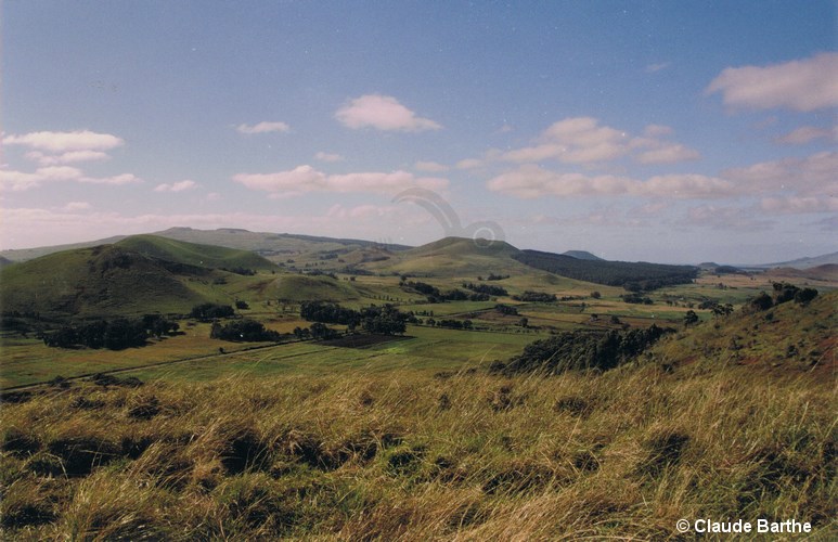 image05