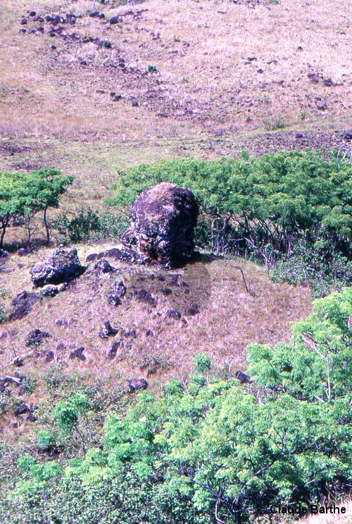 image09