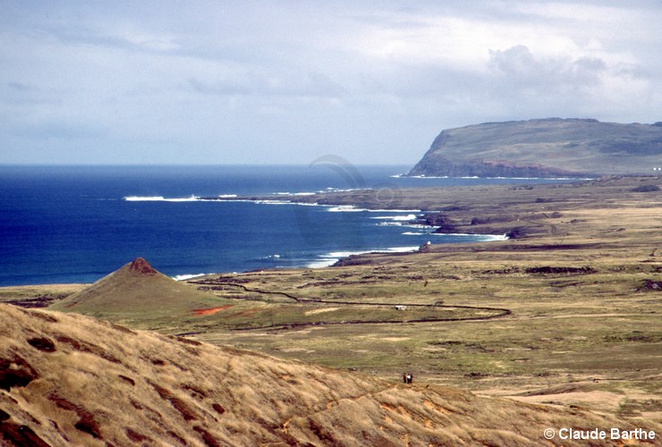 image03
