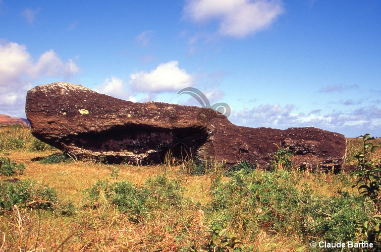 image14